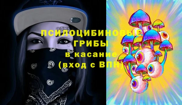 бошки Алексеевка